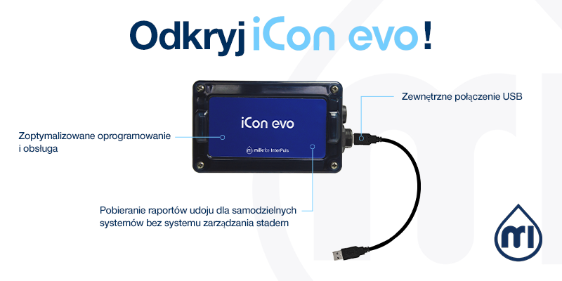 Icon Evo   POL